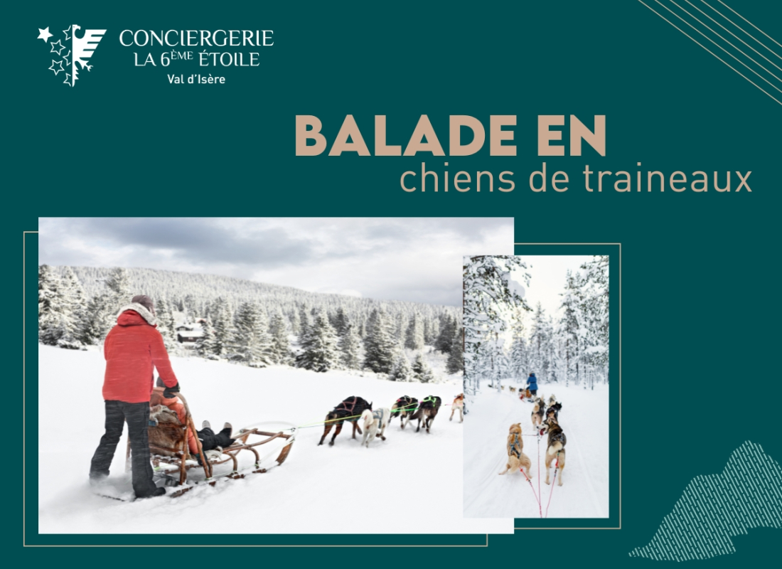 fr-balade-en-chien fr-balade-en-chien